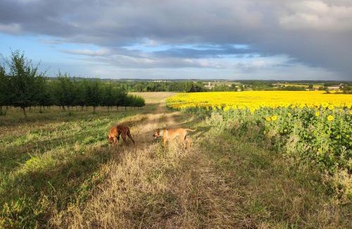 Montignac-de-Lauzun Casa | Gite Le Lampeau