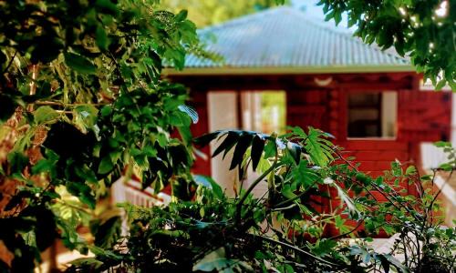 Baillif Casa | Gite Mamour - Charmant petit bungalow à découvrir