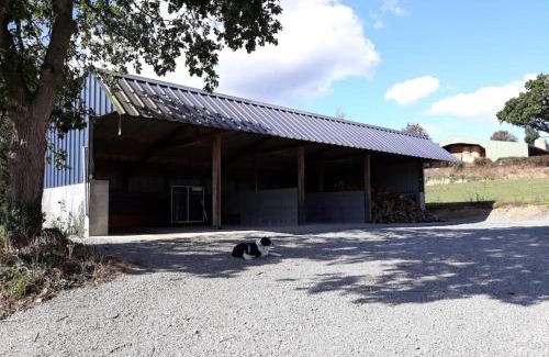 Saint-Adrien Casa | Gite TY KERMORZU