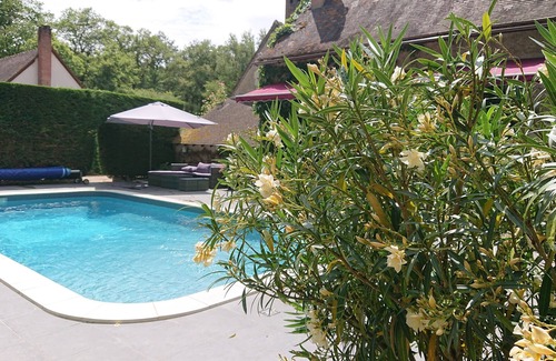Amboise Casa | Casa rural en el corazón del bosque de Amboise Chenonceaux - PISCINA