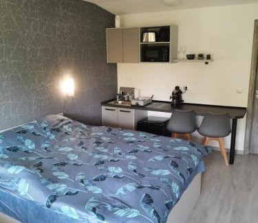 Sovata Apartamento | Giulia Guest House
