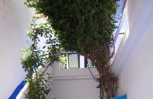 Medina Casa | DAR NUEVA casa tradicional en medina histórico-artística