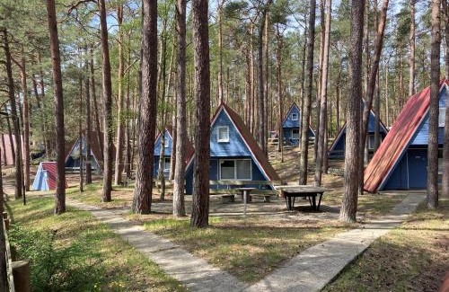 Trassenheide Casa | Glücklich am Strand - Ruhe im Kiefernwald mit Terrasse & Hund willkommen