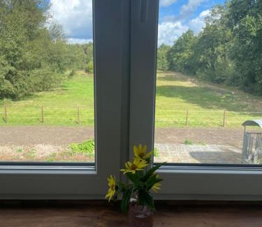Wolfsburg Apartamento | Glücksgriff