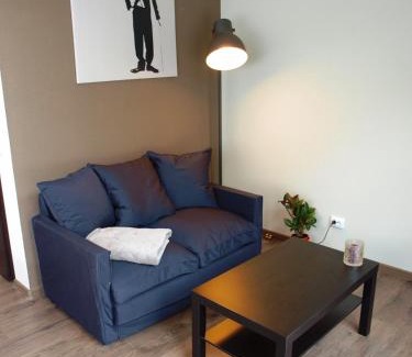 Cesis Apartamento | Glūdas Grava