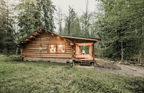 Warnick Casa | Glacier Springs Cabin #76 - Wi-Fi - Pets Ok