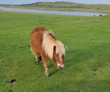 Bucks Cross Apartamento | Glade Lodge- North Devon Coast, Bideford Bay Caravan Park