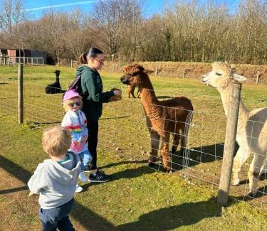 Bucks Cross Apartamento | Glade Lodge- North Devon Coast, Bideford Bay Caravan Park