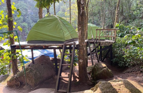 Muttil South Otro | gladstone natural Camping