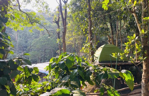 Muttil South Otro | gladstone natural Camping
