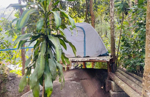 Muttil South Otro | gladstone natural Camping