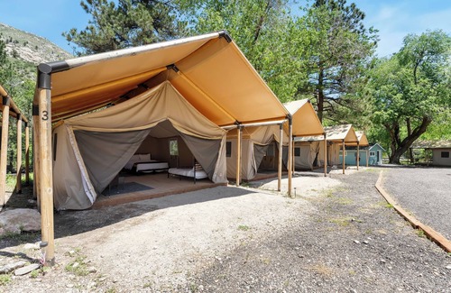 Poudre Park Casa | Glamp 15- Delicate Bluebell