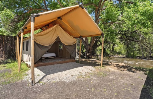 Poudre Park Casa | Glamp 16- Purple Coneflower
