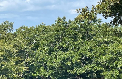 Ardmore Casa | Camping de remolque: Lake Murray State Park, Winstar Casino, ATV park, ¡usted elige!