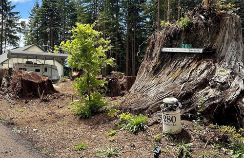 Crescent City Casa | Glamping Among Redwood Trees Cozy Camper Pet Friendly