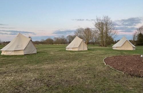 St Albans Otro | Glamping and Camping at The Orchard