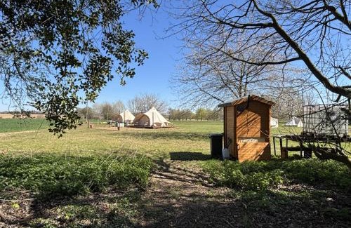 St Albans Otro | Glamping and Camping at The Orchard
