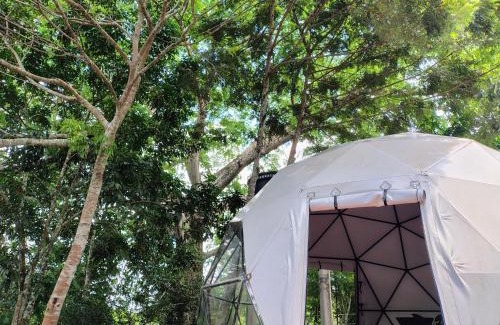 San Jose del Guaviare Otro | Glamping Aveja