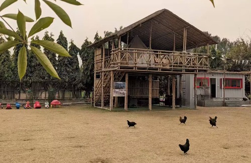 Noida Cabaña | Glamping Bell Tent over a Bamboo Machaan