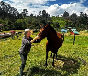 Granada Otro | Glamping Bugambilia
