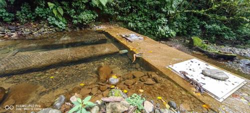 Concepcion Otro | Glamping Butterflay Garden
