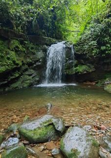 Concepcion Otro | Glamping Butterflay Garden