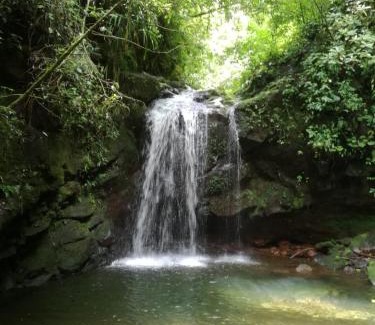 Concepcion Otro | Glamping Butterflay Garden