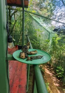 Concepcion Otro | Glamping Butterflay Garden