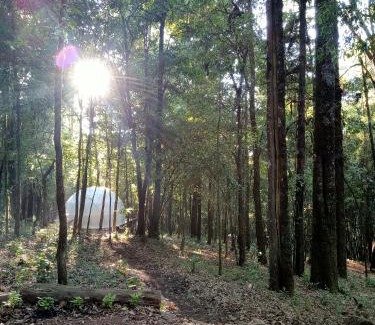 Valle de Bravo Complejo | Glamping Don Delfis