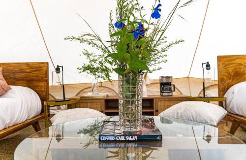 Omitlán de Juárez Otro | Glamping Ensueño en Omitlán Naturaleza y Confort