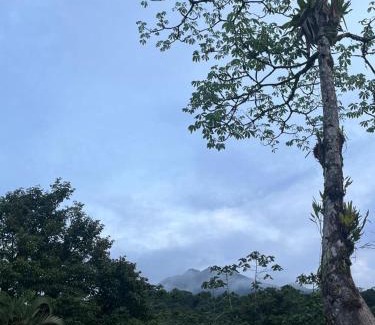 Katira Otro | Glamping Finca garza del sol