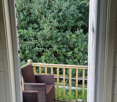 Llanfair Caereinion Chalet De Esquí | Glamping Hut - Riverview 4
