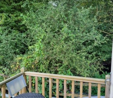 Llanfair Caereinion Chalet De Esquí | Glamping Hut - Riverview 4