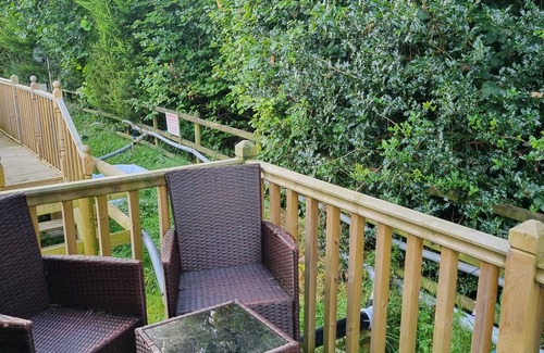Kingswood Cabaña | Glamping Hut - Riverview 5