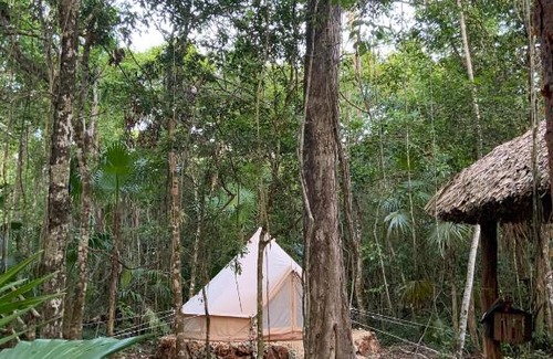 Benito Juárez Otro | Glamping Ikal