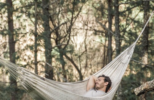 Tapalpa Alquiler De RV | Glamping en el Bosque: Tranquilidad y Vistas