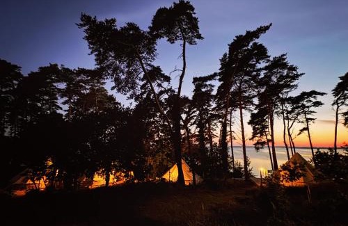 Luetow Otro | Glamping Lodges Red Woods Usedom