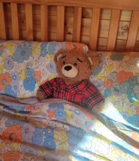Enniskillen Otro | Glamping Pod Thady Killynick County Fermanagh