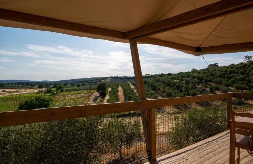 Massa Marittima Otro | Glamping Podere San Jacopo