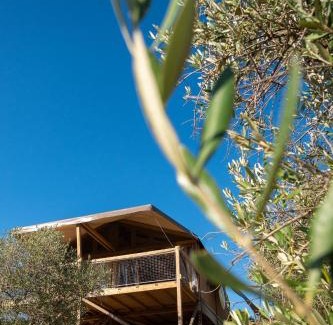 Massa Marittima Otro | Glamping Podere San Jacopo