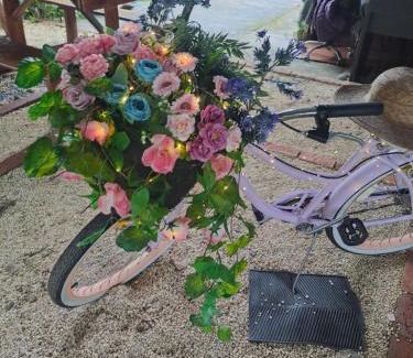 Katira Otro | Glamping Rio Celeste Heliconia