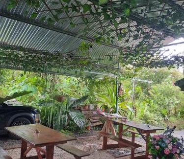 Katira Otro | Glamping Rio Celeste Heliconia