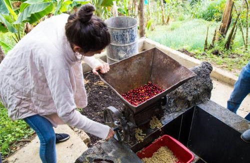 Copacabana Otro | Glamping Spa & Coffee Tour