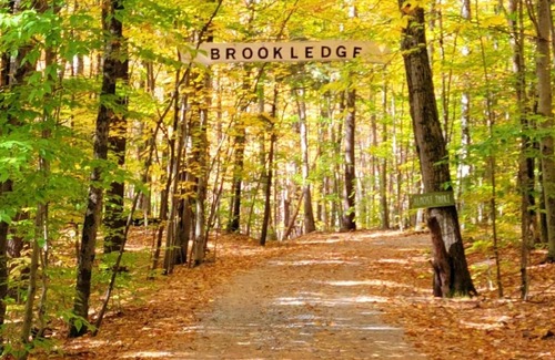 Middle Grove Alquiler De RV | Glamping Tent on 60 acres with stream