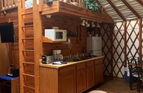 Elkins Cabina | GLAMPING YURT. Sleeps 4, HOT TUB, Pellet Stove