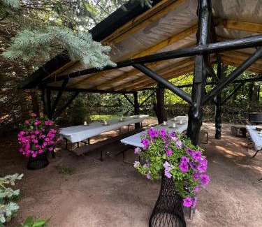 Checiny Otro | Glamping za Zamkiem w Chęcinach