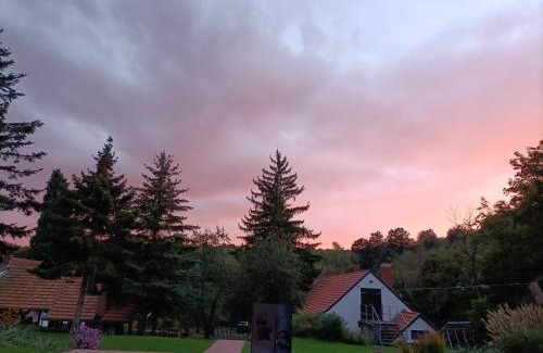 Kisujbanya Chalet De Esquí | GLASHÜTTE Kisújbánya Vadászház