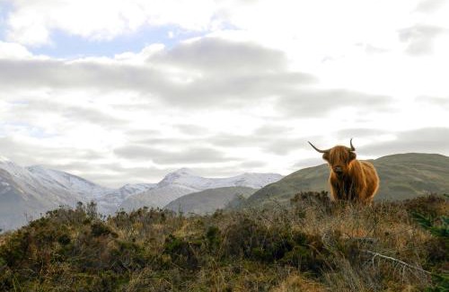 Fort William Complejo | Glen Nevis Holidays