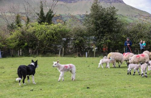 Glenariff Casa | GlenHaven Holiday Accommodation