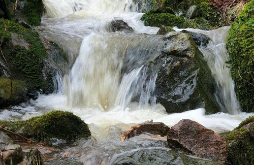 East Lewiston Apartamento | Glenview -A Warm Scottish Welcome In The Glen.